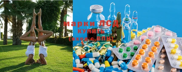 ECSTASY Магадан