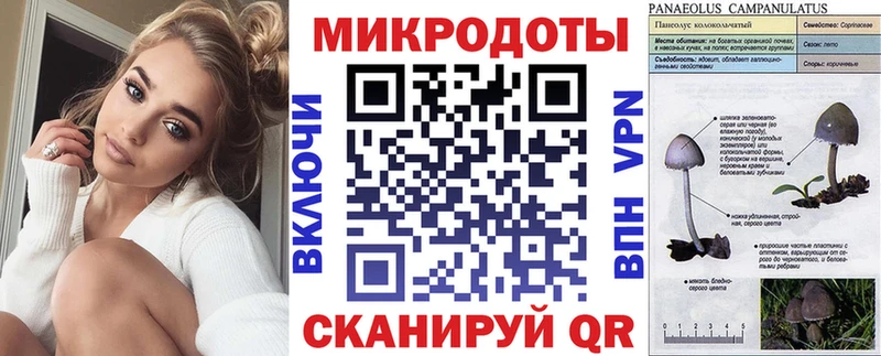 Псилоцибиновые грибы GOLDEN TEACHER  Никольское 